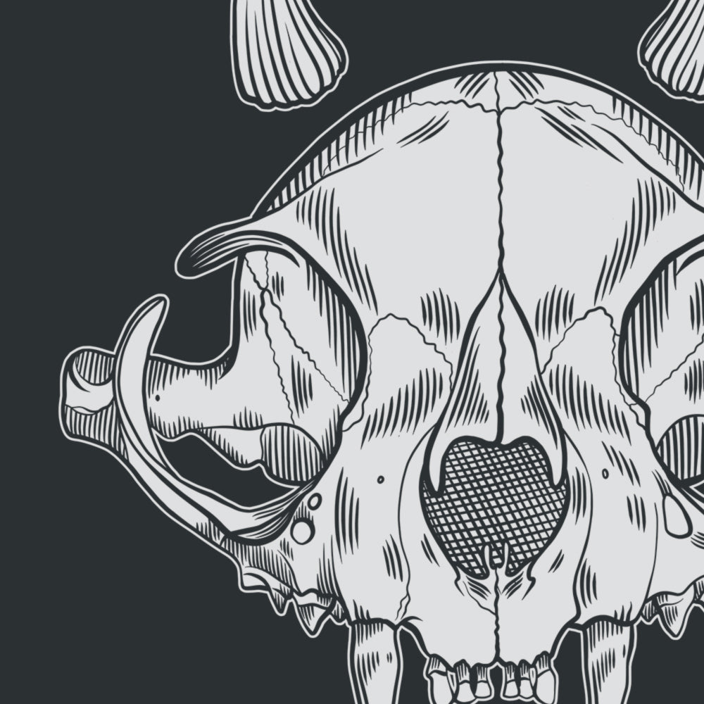 Close up to a fragment of a white print of Felis Mortum - cat skull with little horns 